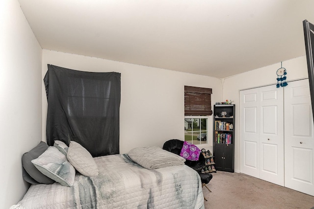 3917 Kristen Ct, Plano, IL 60545 - bedroom with light colored carpet and a closet