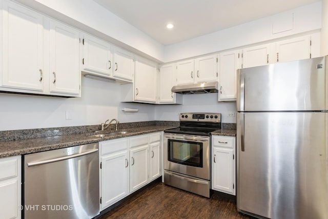 800 Ridge Rd Unit 108, Wilmette, IL 60091 - kitchen with appliances with stainless steel finishes, under cabinet range hood, a sink, white cabinetry, and recessed lighting