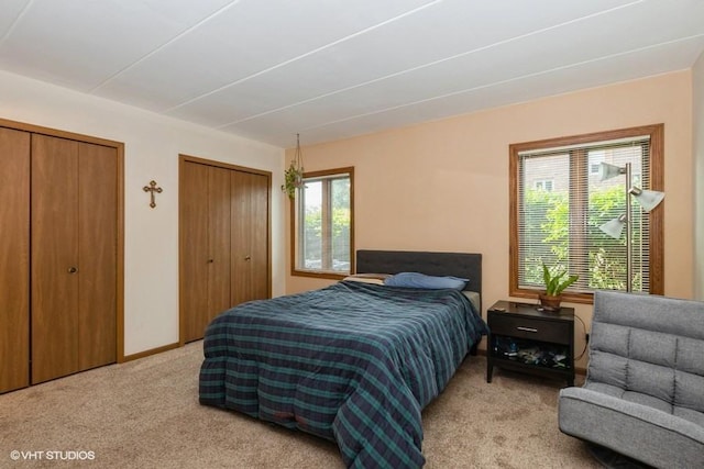 6437 Oak Forest Ave Unit 1E, Tinley Park, IL 60477 - bedroom with two closets and light colored carpet