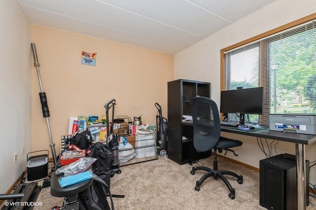 6437 Oak Forest Ave Unit 1E, Tinley Park, IL 60477 - office space with carpet floors