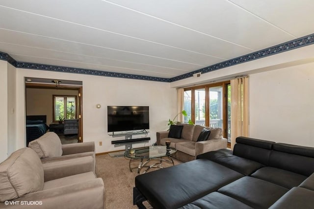 6437 Oak Forest Ave Unit 1E, Tinley Park, IL 60477 - living area featuring carpet floors and baseboards