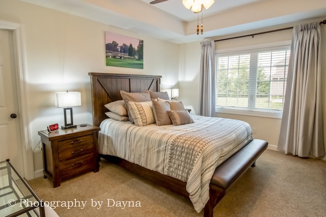584 Chase Ct, Bourbonnais, IL 60914 - bedroom featuring light carpet and baseboards