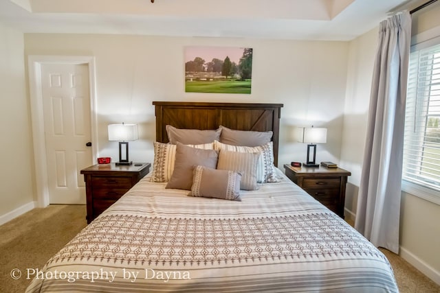 584 Chase Ct, Bourbonnais, IL 60914 - bedroom featuring carpet floors, baseboards, and multiple windows