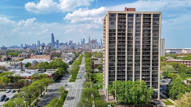 2901 S Michigan Ave Unit 1706, Chicago, IL 60616 - skyline view