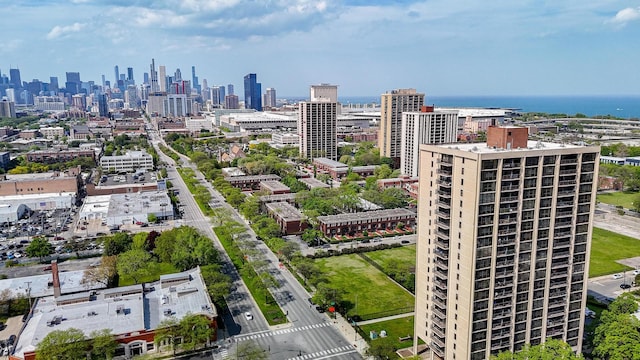 2901 S Michigan Ave Unit 1706, Chicago, IL 60616 - drone / aerial view of skyline