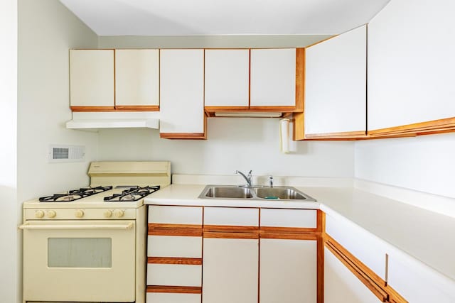 2901 S Michigan Ave Unit 1706, Chicago, IL 60616 - kitchen with white range with gas stovetop, a sink, under cabinet range hood, light countertops, and white cabinets