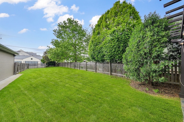 549 S Main St, Naperville, IL 60540 - view of yard