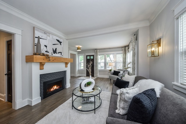 549 S Main St, Naperville, IL 60540 - living room featuring ornamental molding, wood finished floors, a fireplace, and baseboards