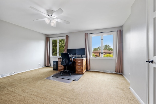60 Romiga Ln, Palos Park, IL 60464 - unfurnished office featuring carpet, baseboards, and a ceiling fan