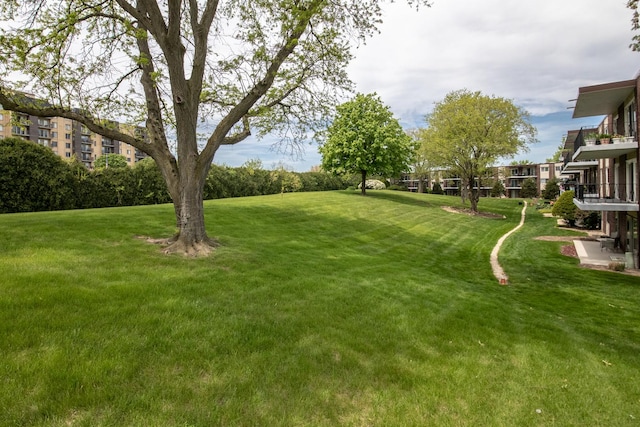 5540 Walnut Ave Unit 23C, Downers Grove, IL 60515 - view of grassy yard