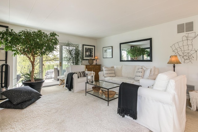 5540 Walnut Ave Unit 23C, Downers Grove, IL 60515 - living area with carpet floors