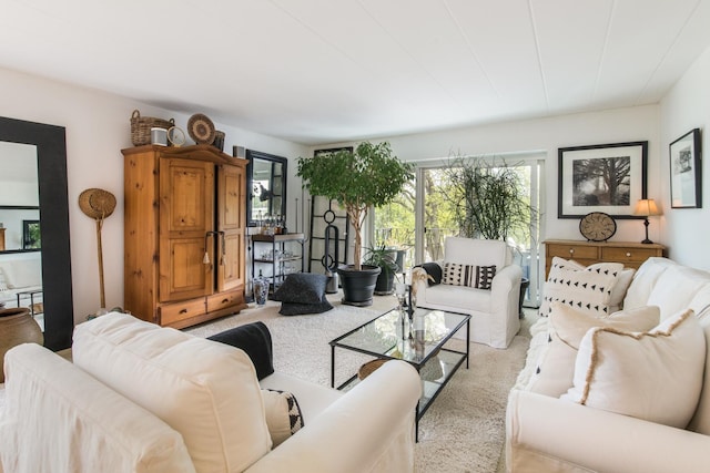 5540 Walnut Ave Unit 23C, Downers Grove, IL 60515 - view of carpeted living area