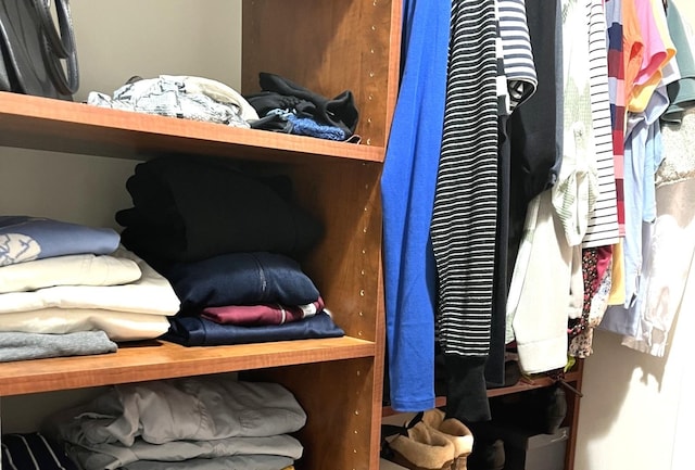 8001 W Courte Dr Unit 307, Niles, IL 60714 - view of walk in closet