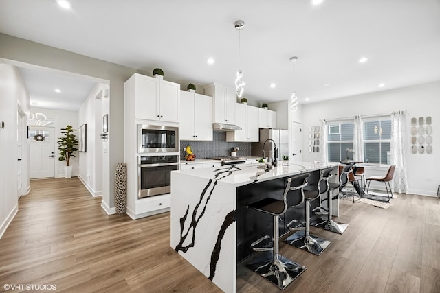 319 Carole St, Sugar Grove, IL 60554 - kitchen with appliances with stainless steel finishes, under cabinet range hood, a center island with sink, light wood-style flooring, and decorative backsplash