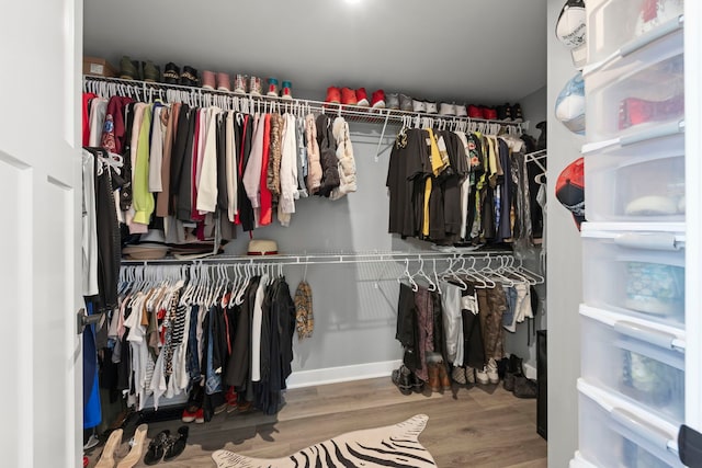 319 Carole St, Sugar Grove, IL 60554 - spacious closet featuring wood finished floors