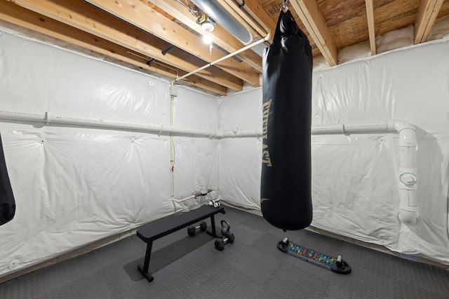319 Carole St, Sugar Grove, IL 60554 - view of workout area