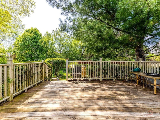 1010 Hampshire Ln, Elgin, IL 60120 - deck with view of scattered trees