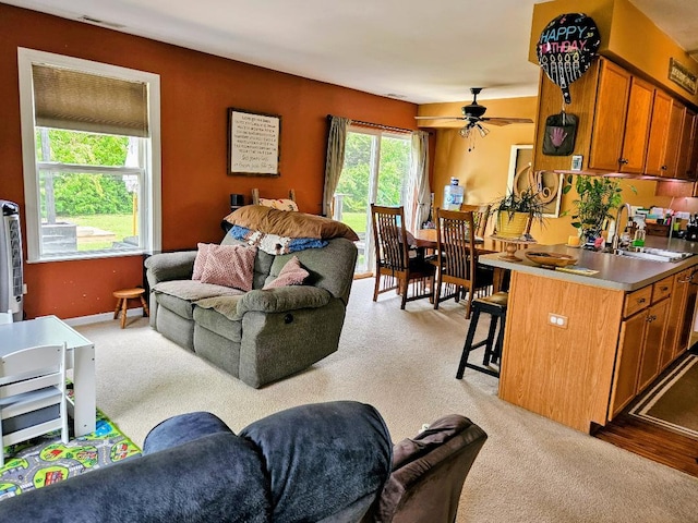 25159 Faraday Rd, Manhattan, IL 60442 - living area featuring light carpet and a ceiling fan