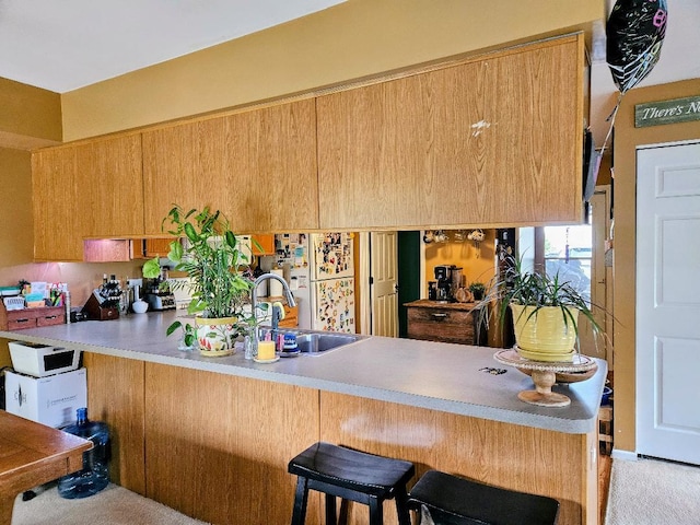 25159 Faraday Rd, Manhattan, IL 60442 - kitchen with a sink, a peninsula, a kitchen breakfast bar, light carpet, and light countertops