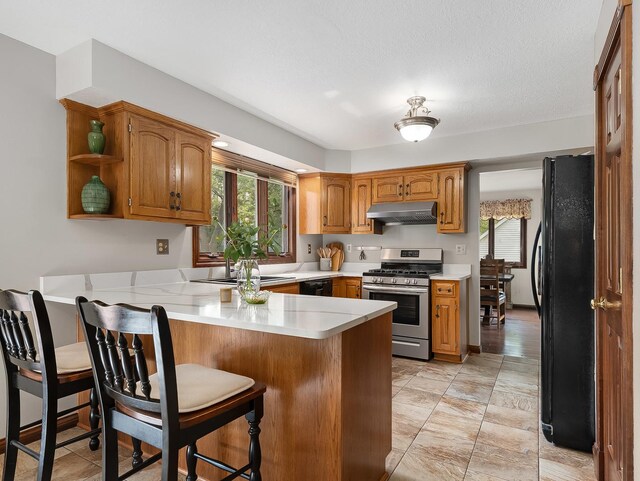 279 N Division St, Braidwood, IL 60408 - kitchen featuring black appliances, under cabinet range hood, a peninsula, a sink, and plenty of natural light
