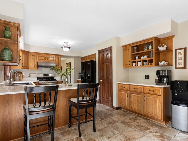 279 N Division St, Braidwood, IL 60408 - kitchen featuring stainless steel gas range, under cabinet range hood, open shelves, and black fridge with ice dispenser