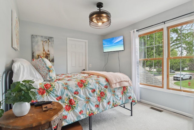 1034 Willoby Ln, Elgin, IL 60120 - bedroom with carpet and baseboards
