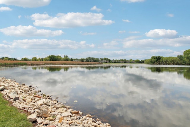 1034 Willoby Ln, Elgin, IL 60120 - water view