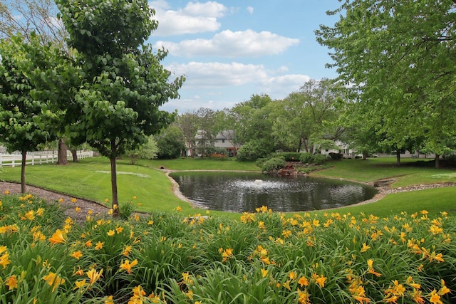 1034 Willoby Ln, Elgin, IL 60120 - surrounding community with a lawn and a water view