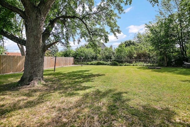 1274 Theresa Ln, Bourbonnais, IL 60914 - view of yard