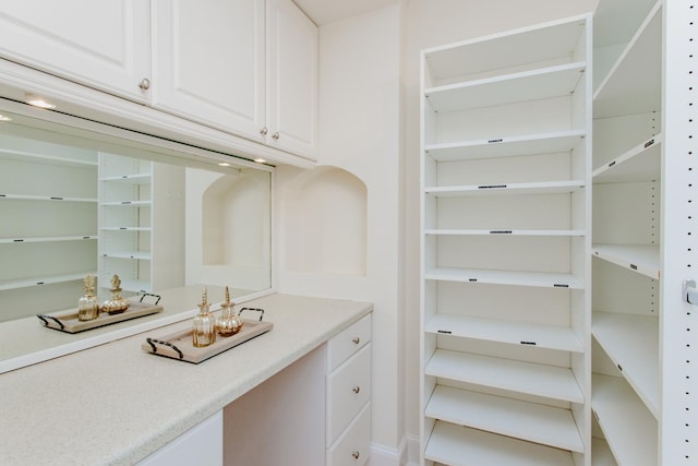 1929 Sherman Ave Unit 2E, Evanston, IL 60201 - view of storage area