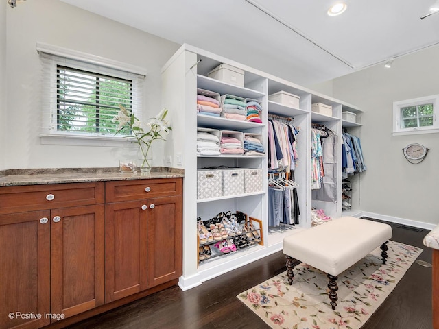 5951 S Grant St, Burr Ridge, IL 60527 - walk in closet featuring dark wood-style flooring