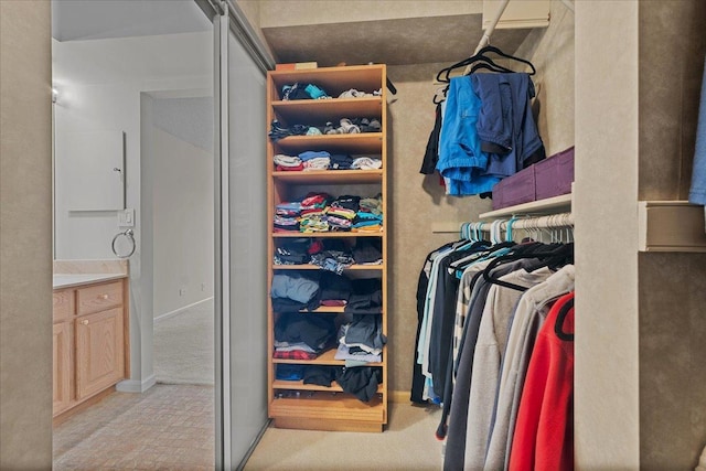 706 Waukegan Rd Unit 403C, Glenview, IL 60025 - view of walk in closet
