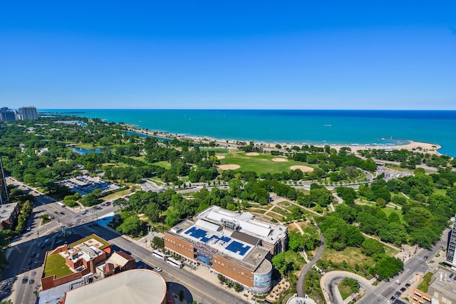 1560 N Sandburg Ter Unit 2704, Chicago, IL 60610 - drone / aerial view of a nearby body of water