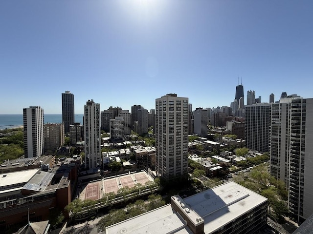 1560 N Sandburg Ter Unit 2704, Chicago, IL 60610 - skyline view with a nearby body of water
