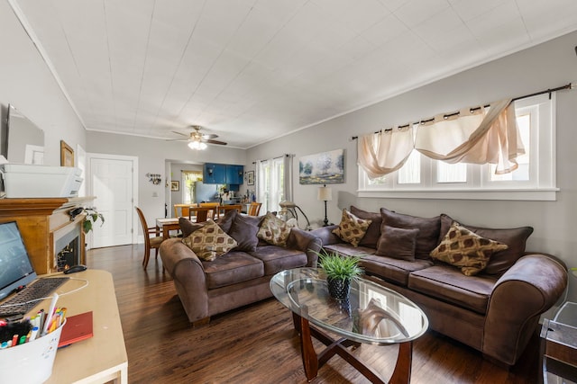 1028 5th St, Aurora, IL 60505 - living area with dark wood-style floors, a ceiling fan, a fireplace, and crown molding