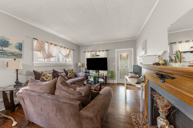 1028 5th St, Aurora, IL 60505 - living area with ornamental molding and dark wood finished floors