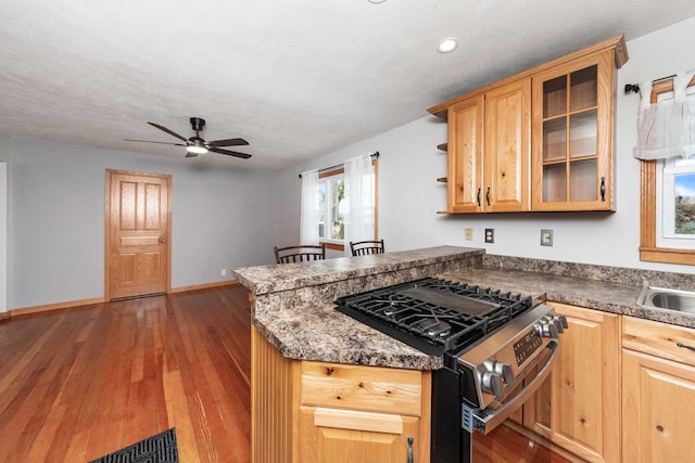 2725 2100n Rd, Minonk, IL 61760 - kitchen featuring stainless steel gas stove, a peninsula, ceiling fan, baseboards, and wood finished floors