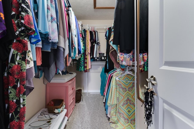 2738 Wharton Way, Normal, IL 61761 - spacious closet featuring carpet flooring and attic access