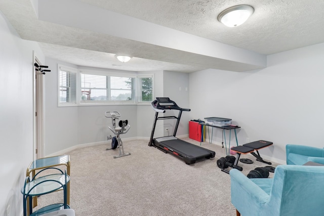 2738 Wharton Way, Normal, IL 61761 - exercise area with a textured ceiling, carpet, and baseboards