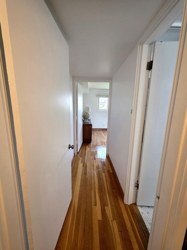 4710 Russett Ln Unit 201, Skokie, IL 60076 - photo 14