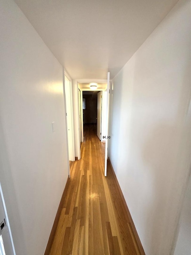 4710 Russett Ln Unit 201, Skokie, IL 60076 - photo 23
