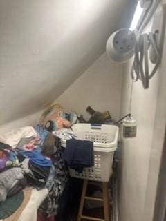 additional living space with lofted ceiling