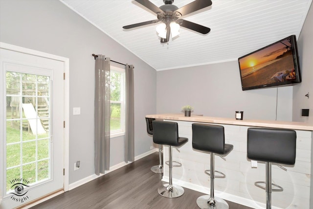 23246 S Malibu Dr, Manhattan, IL 60442 - bar area featuring dark wood-style floors, lofted ceiling, baseboards, and a ceiling fan