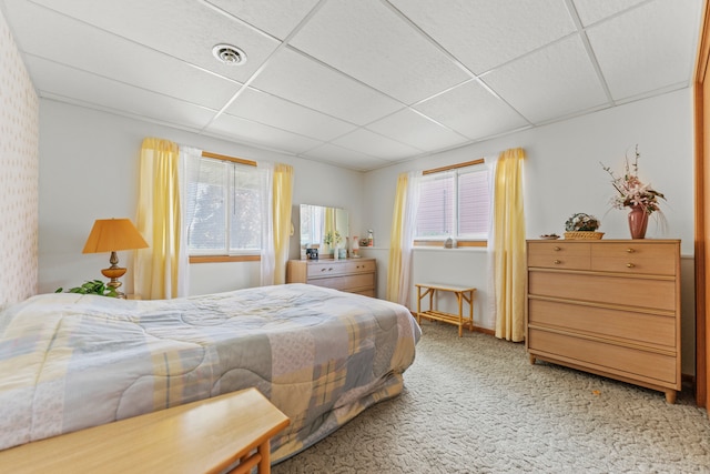 860 Breckenboro Rd, Davis, IL 61019 - photo 18