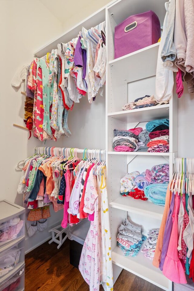 8029 98th St, Palos Hills, IL 60465 - view of closet