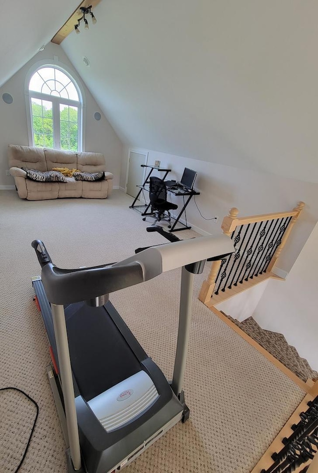 7648 N Indian Ridge Rd, East Dubuque, IL 61025 - workout area with vaulted ceiling and carpet flooring