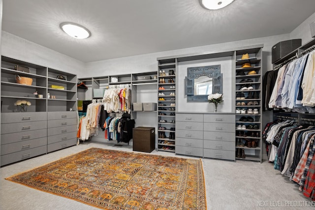 4336 Winterberry Ave, Naperville, IL 60564 - spacious closet with carpet