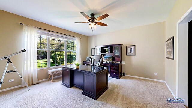 532 Nunda Trl, Crystal Lake, IL 60012 - office with a ceiling fan, light carpet, and baseboards