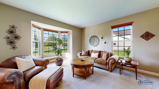532 Nunda Trl, Crystal Lake, IL 60012 - carpeted living area with baseboards
