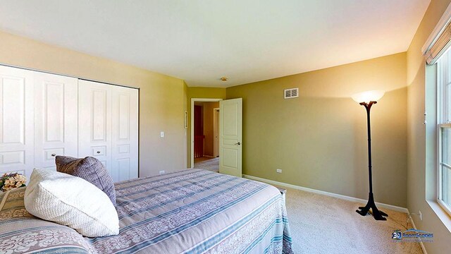 532 Nunda Trl, Crystal Lake, IL 60012 - bedroom featuring light colored carpet, a closet, and baseboards